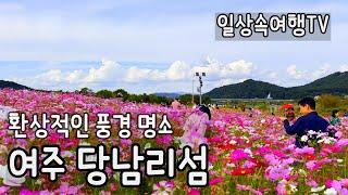 가볼만한 여주 당남리섬 계절마다 멋진 옷을 갈아입는 수도권 대표 경관농업단지 Dangnamri Island, a tourist attraction in Yeoju-si, Korea