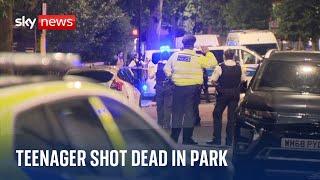 Six arrested after teenager shot dead in London park