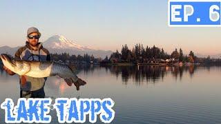 Musky Fishing Washington State Lake Tapps Tiger Muskie