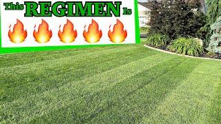 AMAZING GREEN LAWN Advanced Fertilizing Program