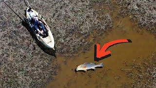 Unforgettable Redfish HUNT: kayak fishing in Charleston SC