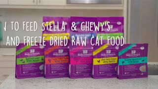 How to Feed Stella & Chewy's Frozen and Freeze Dried Raw Cat Food