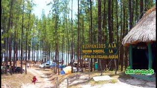 RESERVA  FORESTAL LA YEGUADA-TOUR