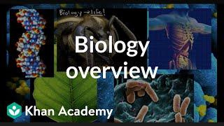 Biology overview