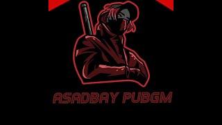 ASADBAY PUBGM STRIEM ASADBAY