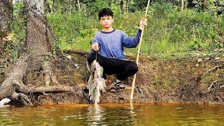 Orphan Boy Daily Life and Little Dog - Harvesting fish Goes to the market sell