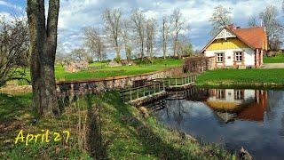 Spring  Tartu county, beautiful Luke manor and park, old fascinating trees  Estonia