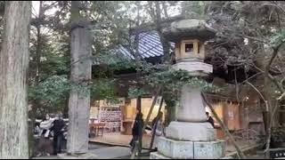 Visiting shrine during the Japan earthquake