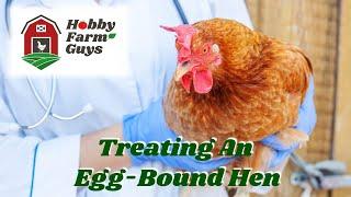 Egg Bound Hens - Diagnosis, Treatment and Prevention