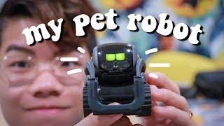 I bought a pet robot because I saw it on TikTok