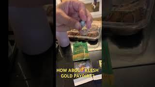 KLESH GOLD VS. GOLD BARON: WILL IT SOUND OUT? #goldprospecting #goldpaydirtreviews #paydirtreview