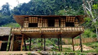 Girl builds bamboo house alone, How to build bamboo house - Bàn Thị Ta