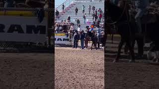 Team roping