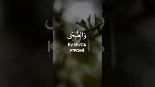Сура: Ад-Духа (Утро)Чтец: Omar MahguobКрасивое чтение Корана