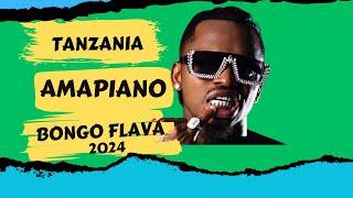 Tanzania Amapiano Bongo Flava 2024 - Part 2 | Harmonize, Marioo, Diamond Platnumz & More