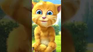 funny cat talking#cat #funny #cartoon#crazy  #trending #shortsfeed#viralshort#talkingtom #baby