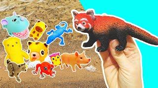 Learn Animal Names & Facts at the Lake for Kids: Mouse Tiger Dog Bear