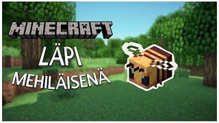 Minecraft Läpi MEHILÄISENÄ?!