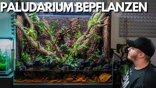 XXL Regenwald Paludarium Bepflanzen! Bens Jungle UNBOXING