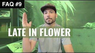 BuildASoil: FAQ #9: LATE FLOWER FAQ