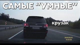 Подборка САМЫХ "УМНЫХ" водителей #1130