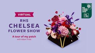 A tour of my patch with Adam Frost | Virtual Chelsea Flower Show | RHS