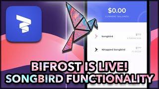 BiFrost Wallet Walkthrough / Demo - Songbird Functionality Included!