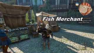 The Witcher 3 Wild Hunt - Unlimited Money Infinite Coin Exploit