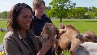 BBC Animal Park, Summer Special  Episode 1