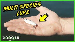 The Best MULTI SPECIES LURE! ( Fishing Tips )