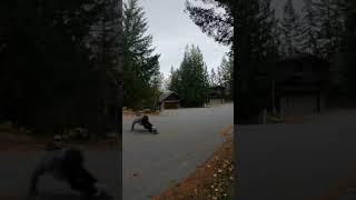 Fall sessions are special  #longboard #longboarding #downhillskate #longboarder #longboardskate