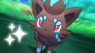 I killed Shiny Zorua 