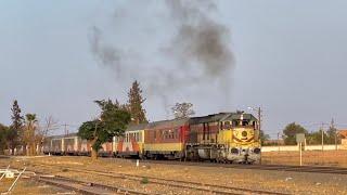 Les Trains d'Oujda  -  Août 2024