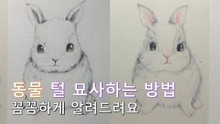 토끼 같이 그려볼까요?｜털 묘사 쉽게하는 방법｜스케치 하는 방법｜How to draw a rabbit