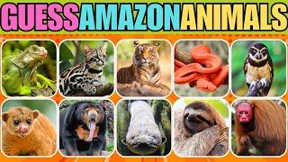 Guess 80 Amazon Rainforest Rare Animals in 3 Seconds!  Test Your Jungle Knowledge! 