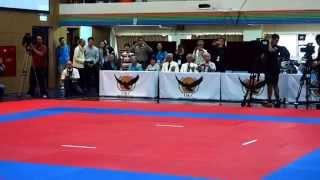 2014 IJKA Asai Cup Karate Friendship Tournament Embu 1