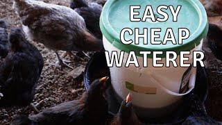 How to Make a DIY Chicken Waterer From a 5 Gallon Bucket