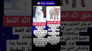 هل تعلم #shorts