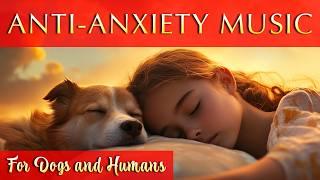 Music for Your Pup  12-Hour Anti-Anxiety Relaxation