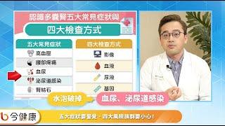 腎臟長水泡別輕忽！醫師專業說明多囊腎攻略：擺脫年輕洗腎命運