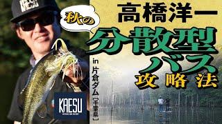 【数釣りもでかバス狙いも両方楽しめる片倉ダム！】秋の分散型バス攻略法 高橋洋一 in 片倉ダム