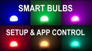 Smart Bulb Setup, Install & App Control