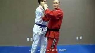 Japanese Jujutsu Technique: Ude Garami