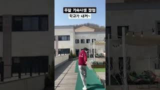 주말 기숙사생 장단점 #shorts