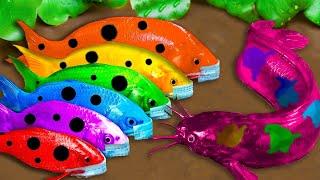 Top 5 Episodes Crocodiles Hunt Colorful Koi, Catfish Primitive Cooking Eels - Stop Motion ASMR CoCo