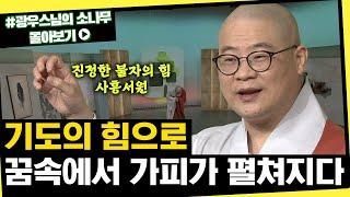 기도의 힘으로 꿈속에서 가피가 펼쳐지다 [초심으로 돌아가는 광우스님의 소나무 시즌3 몰아보기]