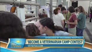 Building the next generation of veterinary professionals