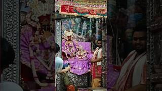 RADHA VALLABH LAL JU KO CHAMATKAR #trending #bhakti #sorts #live #radha #video #vrindavan 