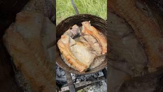 Самая вкусная рыба на костре #рецепт #рыбанамангале #рыба #шашлык #жаренаярыба