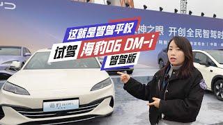 试驾海豹06 DM-i智驾版：10万白菜价+L2级智驾，谁看谁眼红！